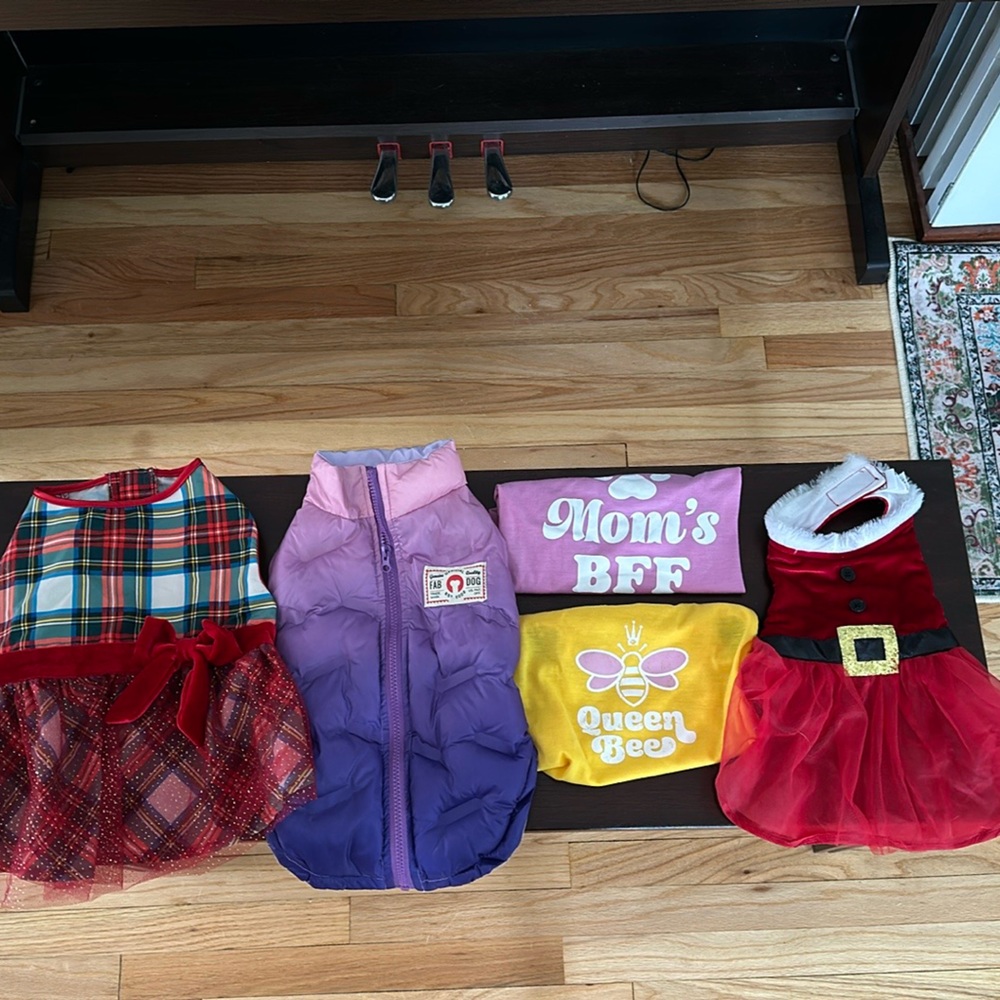 Dog clothing lot size medium Female